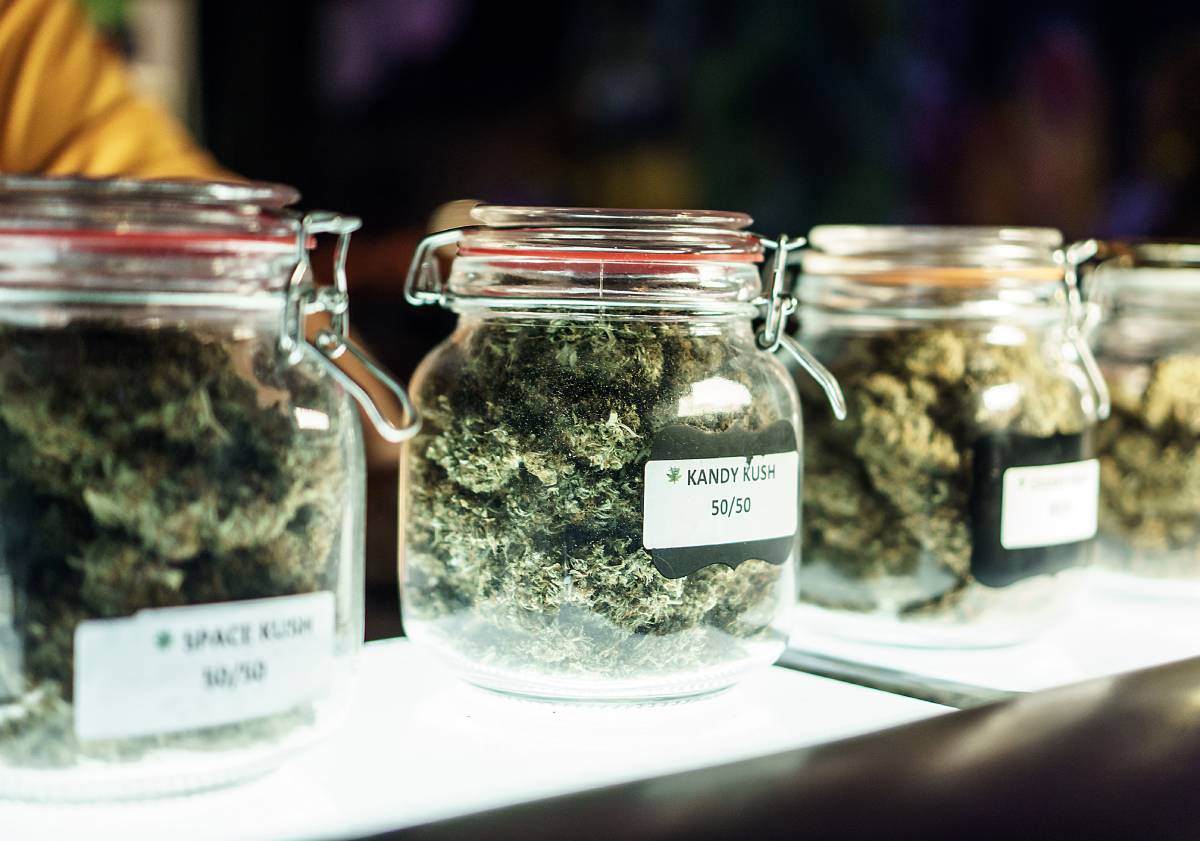 ●	Cannabis products lined up in jars in a dispensary.